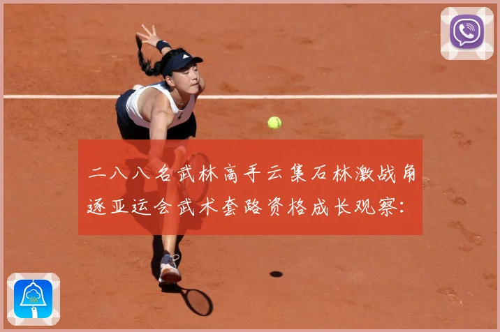 二八八名武林高手云集石林激战角逐亚运会武术套路资格成长观察：最新赛事动态与深度分析